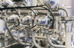 shutterstock_1544418350